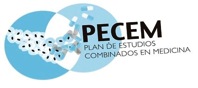 Logo PECEM